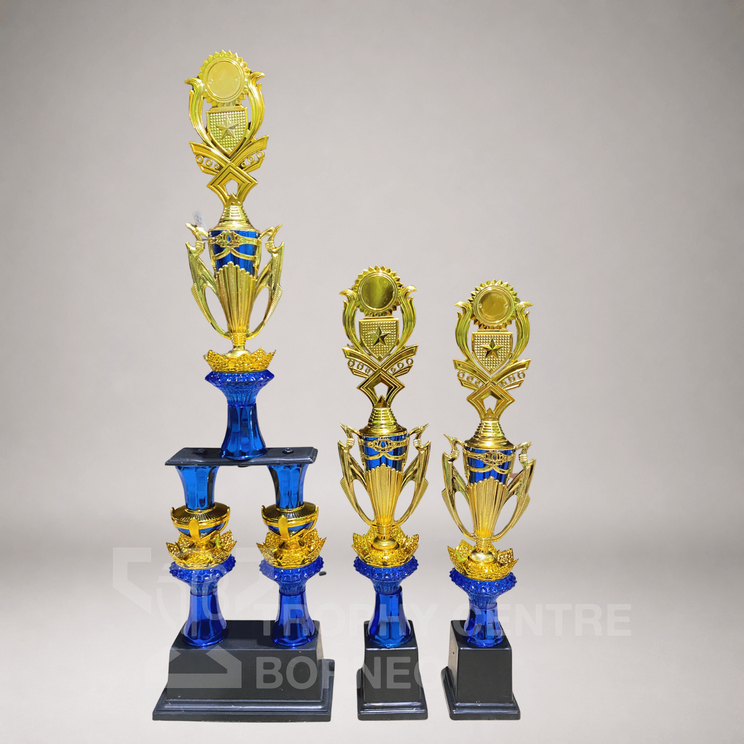 Trophy Series 195