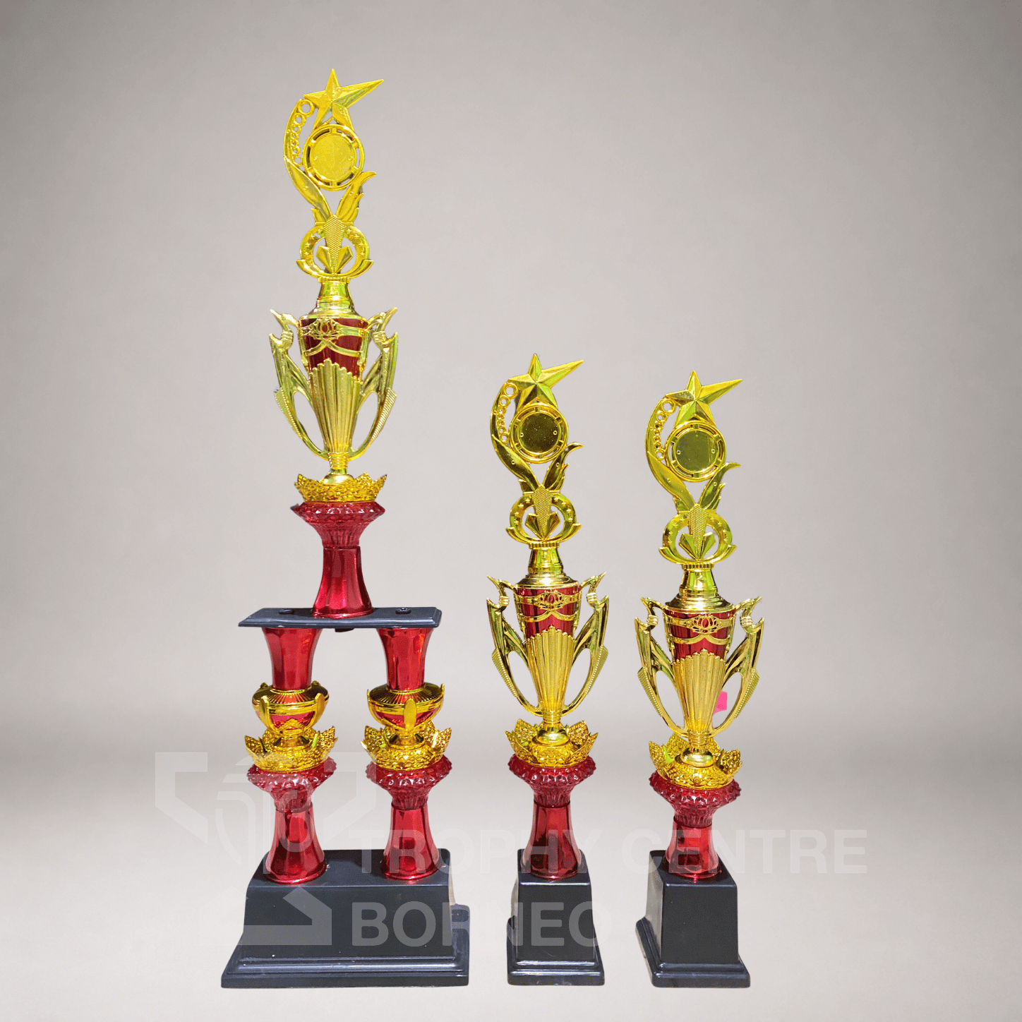 Trophy Series 196